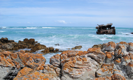 Natural park, Wastern Cape, South Africaの写真素材