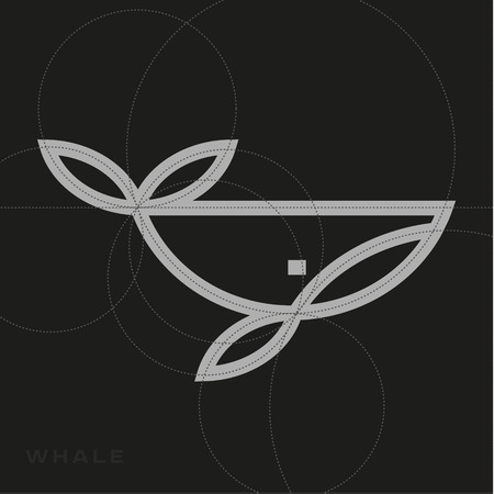   whale in a line an outline, flat design style for your companyのイラスト素材
