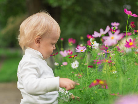 Little Boy Smelling Flower in Summer Dayの写真素材