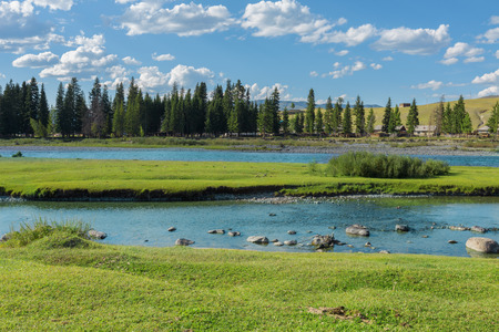 River near the village of Ulugun in the Altai Mountains, a summer dayの写真素材