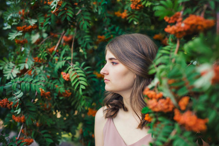 Beautiful girl in profile among the branches of mountain ashの写真素材