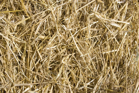 Straw texture