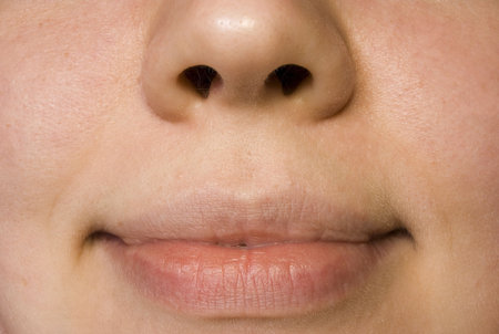 lips of the mouth