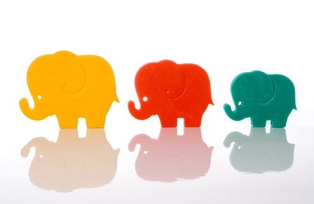 elephant family isolated over white backgroundの写真素材