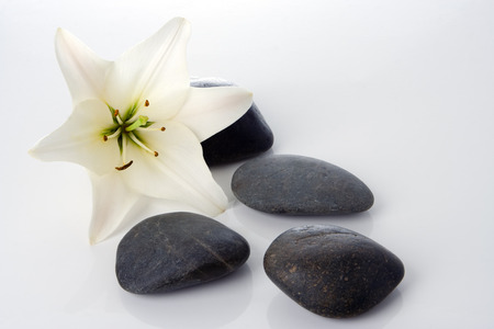 madonna lily with spa stones on whiteの写真素材