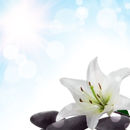 abstract floral background with flowerの写真素材