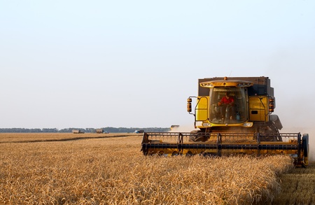 combine harvester in field wheatのeditorial素材