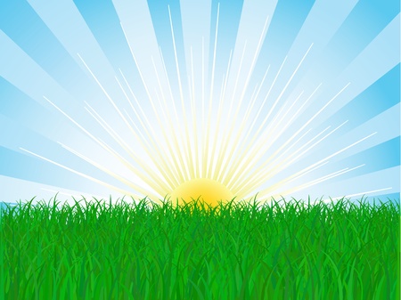 vector grass and sky のイラスト素材