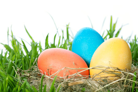 easter color eggs in nest on green grass over white 