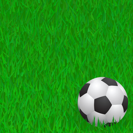 soccer ball on grassのイラスト素材