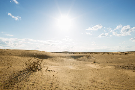 Desert with Sand Dunesの写真素材
