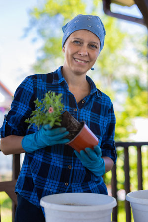 Woman At Home In The Attic Plants Beautiful Flowers In Pots. Take care of plants. Changes the Earth.の写真素材