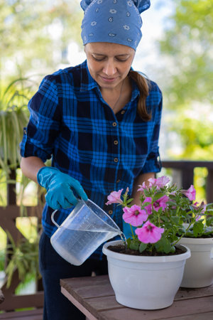 Woman At Home In The Attic Plants Beautiful Flowers In Pots. Take care of plants. Changes the Earth. watering flowers.の写真素材