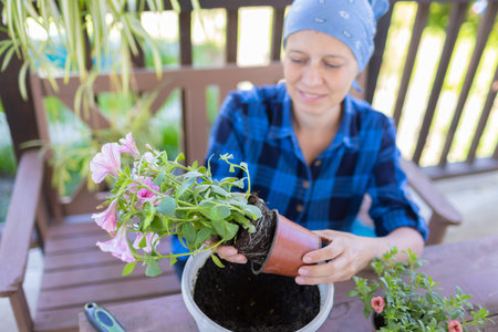 Woman At Home In The Attic Plants Beautiful Flowers In Pots. Take care of plants. Changes the Earth.
