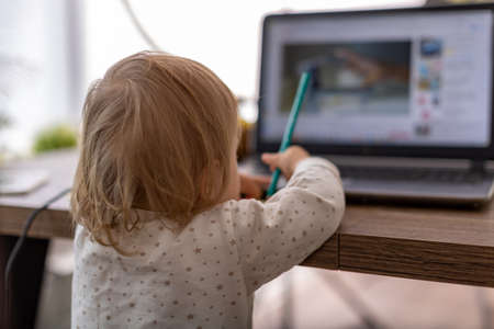 Beautiful woman at home in the kitchen uses a laptop and makes online purchases with a credit card over the Internetの写真素材