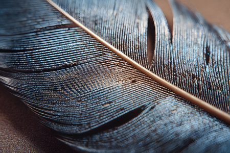 A vivid close-up of a feather showcases a blend of deep red, rich blue, and shimmering gold tones. The intricate details highlight the textures and patterns of nature's beauty.の素材