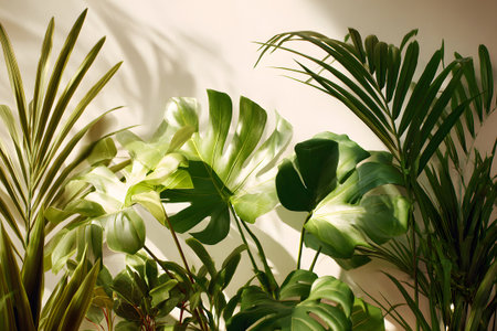 Bright green leaves of various indoor plants create a vibrant scene in a sunlit space. Light filters through the foliage, casting beautiful shadows on the wall.の素材