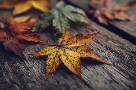 Bright red, yellow, and orange leaves cover a weathered wooden table. The vibrant colors illustrate the beauty of autumn. This scene captures the essence of the fall season in nature.の素材