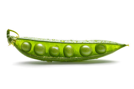 Bright green pods split open reveal plump peas inside, glistening with fresh water droplets. The scene highlights the natural beauty of this healthy vegetable.の素材