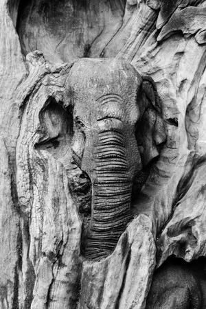 elephant sculpture for homeの写真素材