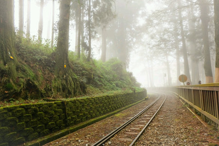 Railroad at  Alishan nation park, taiwan