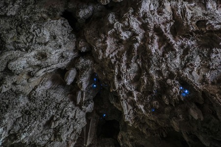 Glowworm in cave , New Zealandの写真素材