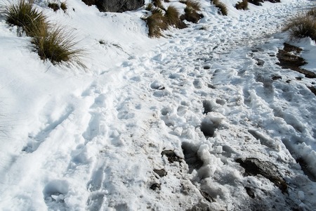 snow on Roy peaks trackingの写真素材
