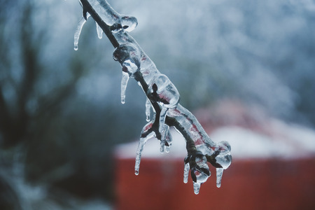 frozen branch with ice on the background of the house in the form of a yurt, a tent house. Icicle. ice storm. selective focusの写真素材