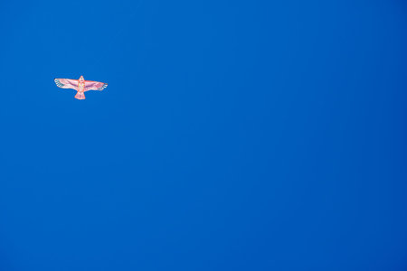 A kite in the form of a bird against a clear sky. Freedom concept.Copy space