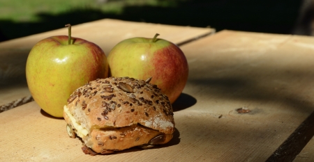 apple and sandwich on table outsideの写真素材