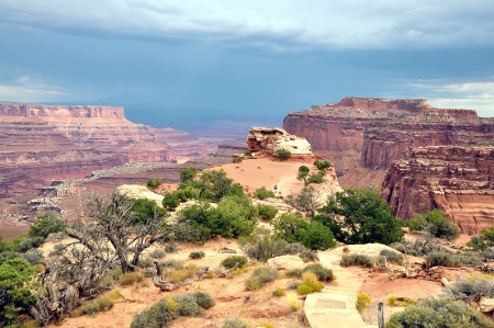 Grand Canyon National Park landscape USAの写真素材