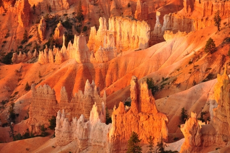 Red rocks in Bryce Canyon National Park Utah USAの写真素材