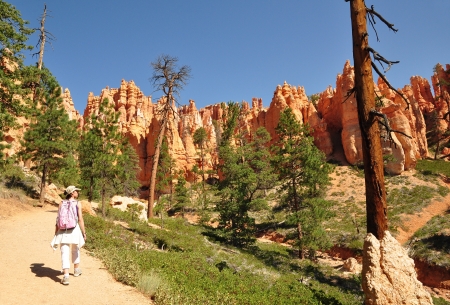 Red rocks in Bryce Canyon National Park Utah USAの写真素材