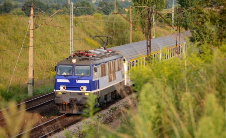 Spring train in meadowsの写真素材