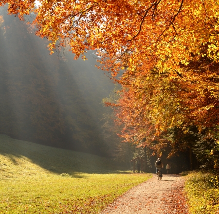 Ride in autumn forestの写真素材