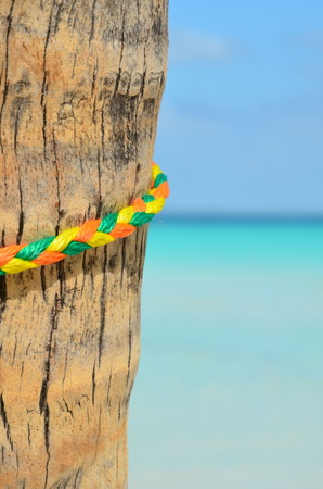 color ful rope on poleの写真素材