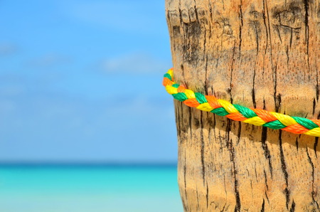 color ful rope on poleの写真素材