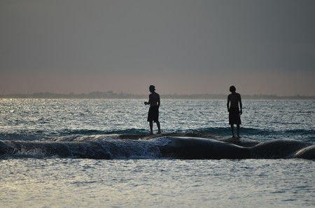 two young man on waveの写真素材