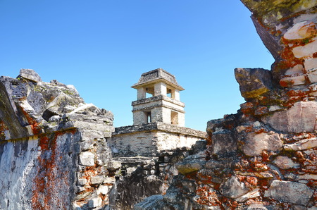 The tower of the palaceの写真素材