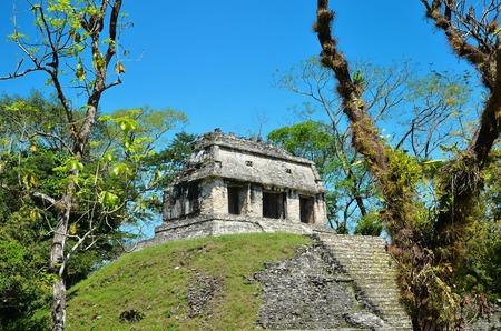 Palenque Ancient Mayan ruined templesの写真素材