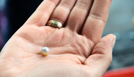 pearl on the handの写真素材