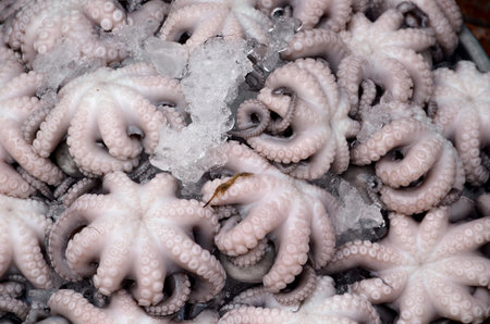 octopus on market in Vietnam