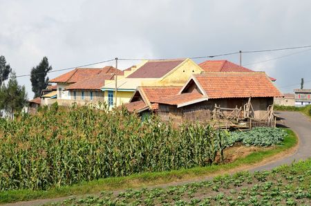 Cemoro Lawang, Indonesia - May 12, 2016 : An view of Cemoro Lawang Village near Bromoのeditorial素材
