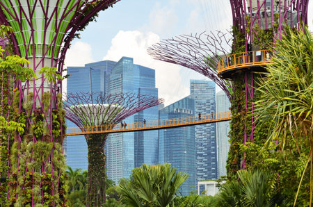 Singapore - May 6, 2016 : An view of Gardens by the Bay in front  of Singapore business centreのeditorial素材