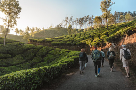 International Group of travelers with backpacks going by the road through tea plantations landscape...