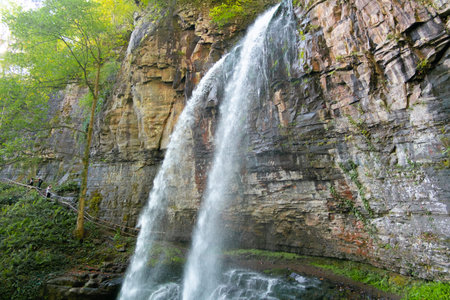 under big jungle waterfall Giant tropical landscape of Abkhazia.の写真素材
