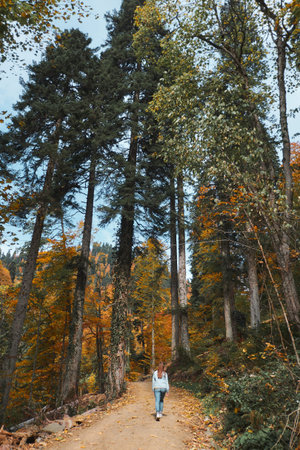 Young woman going by touristic trail through the autumn forest. Big yellow, orangre and green trees.
