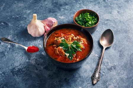 Kharcho soup - national Georgian cuisine dish with beef, rice, garlic and tkemali sauce. Traditional authentic Caucasian foodの写真素材