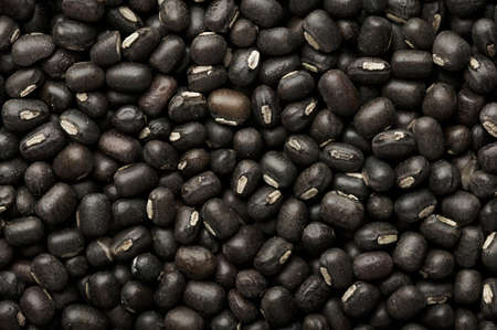 Black Gram or Urad Beans or Mung Beans texture. Vigna Mungo is popular indian cuisine food ingredient.の写真素材