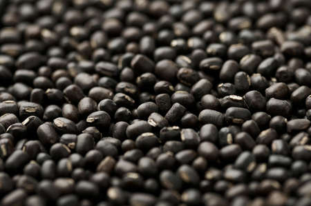 Black Gram or Urad Beans or Mung Beans texture. Vigna Mungo is popular indian cuisine food ingredient.の写真素材